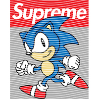 Brand Catalog-ZX 1007